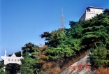 习习户外4月14日(周日)蒙山国家森林公园一日游