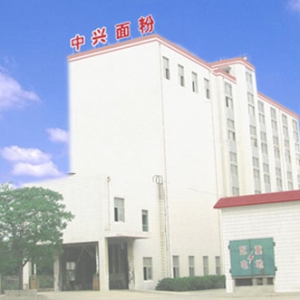 【企业】临清京派粮油集团